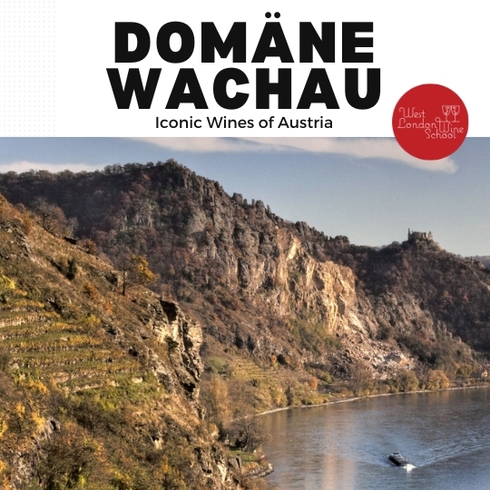 Austria's Finest: Domäne Wachau with Auguszta Cseri