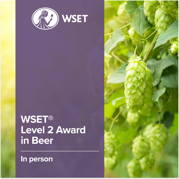 WSET L2 Award in Beer + Brewery Tour