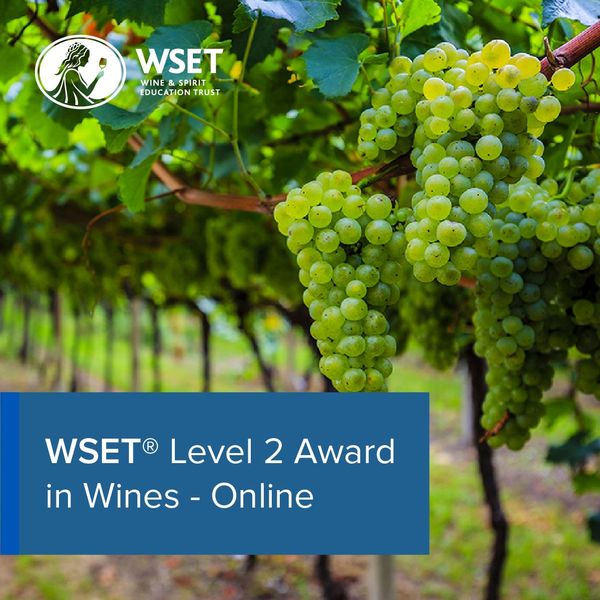 WSET Level 2 Award in Wine Online - 8 Evenings