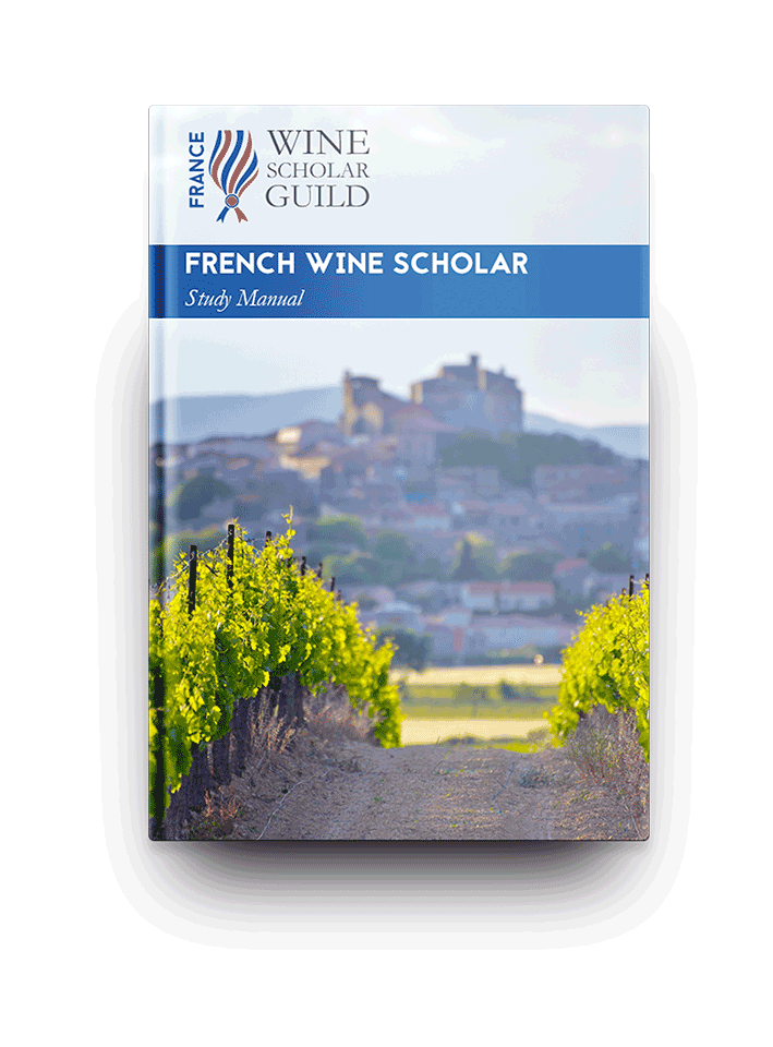French Wine Scholar: Introduction & Alsace