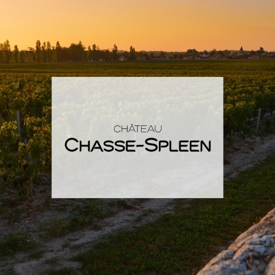 Fine Wine Bordeaux: Château Chasse-Spleen Vertical 1982-2005