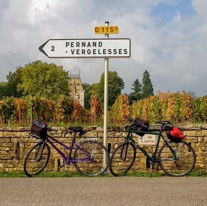 World of Wine - Explore the wines of France