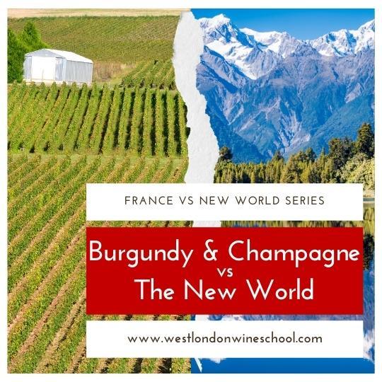 Comparison Tasting: Burgundy & Champagne Vs The New World