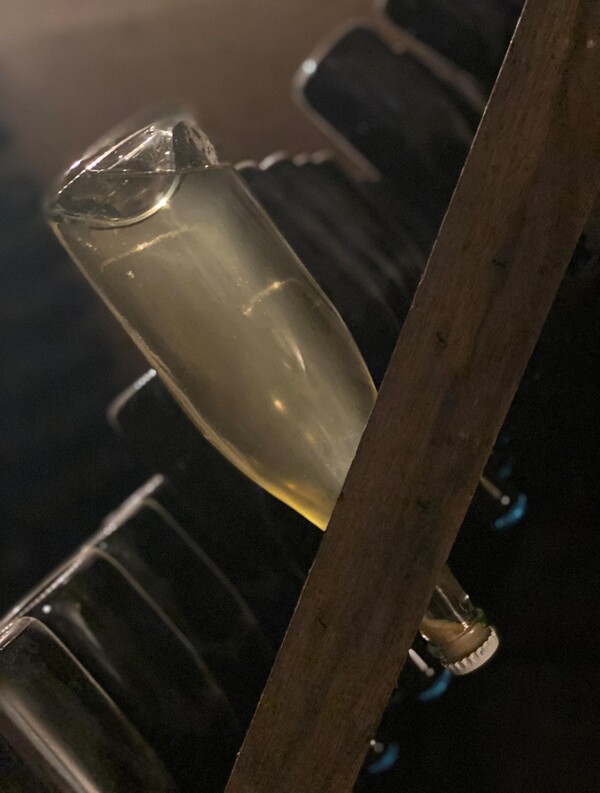 Meet the Winemaker: Franciacorta Freccianera - with Matteo Berlucchi