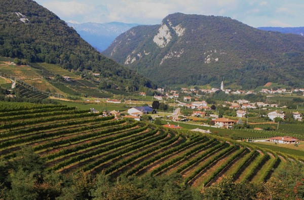 Friuli - Italy's White Wine Hidden Gem