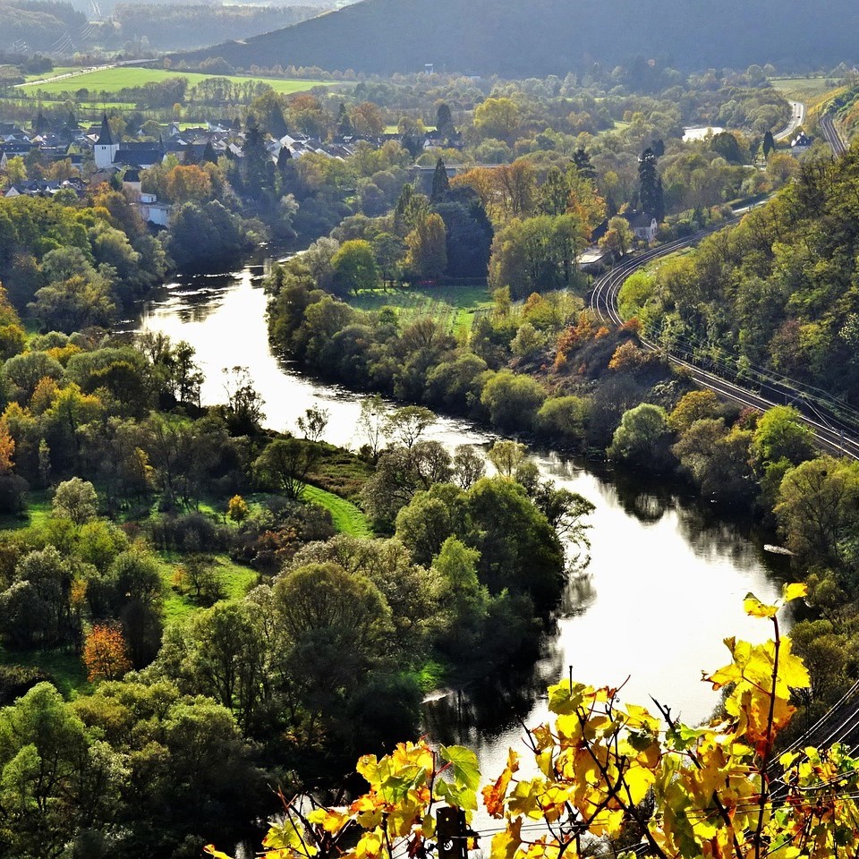 World of Wine Deeper Dive: Germany