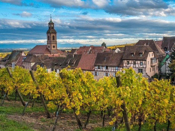 Alsace Grand Cru Riesling
