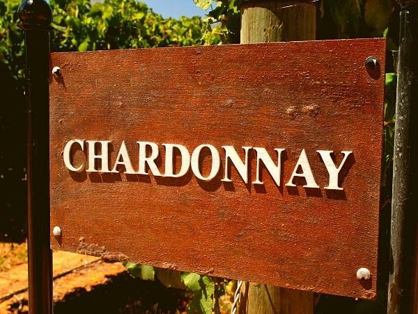 Chardonnay of the World Comparison Tasting