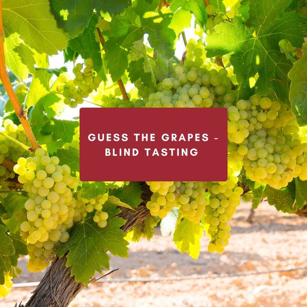 Guess the Grapes - Blind Tasting