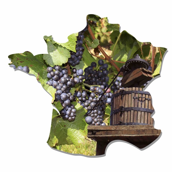 THE BEST OF FRENCH WINE-PRODUCING REGIONS (incl Champagne, Chateauneuf-du-Pape, St-Estephe, Sancerre, etc)