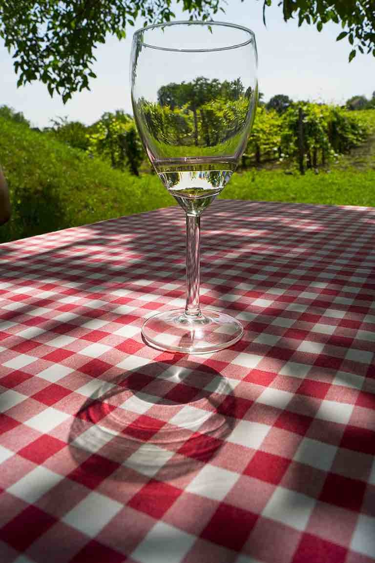 Sauvignon Blanc from around the World