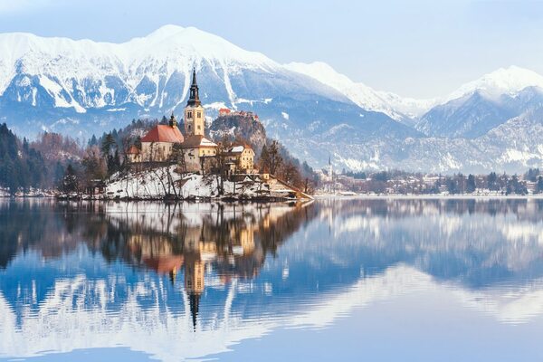 WHITE Wines from SLOVENIA