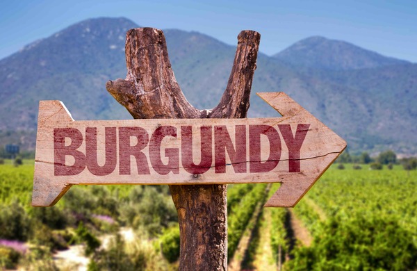 FINE WINE TASTING - Burgundy Special