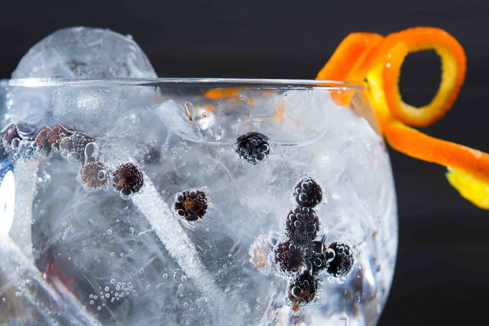 Gin & Tonic & Garnish Pairing Workshop