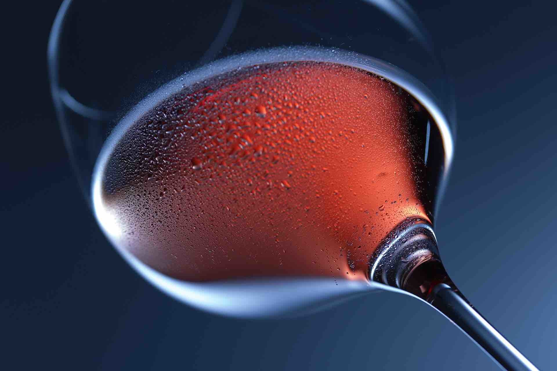 Rosés & Fruity Reds: South of France vs New World