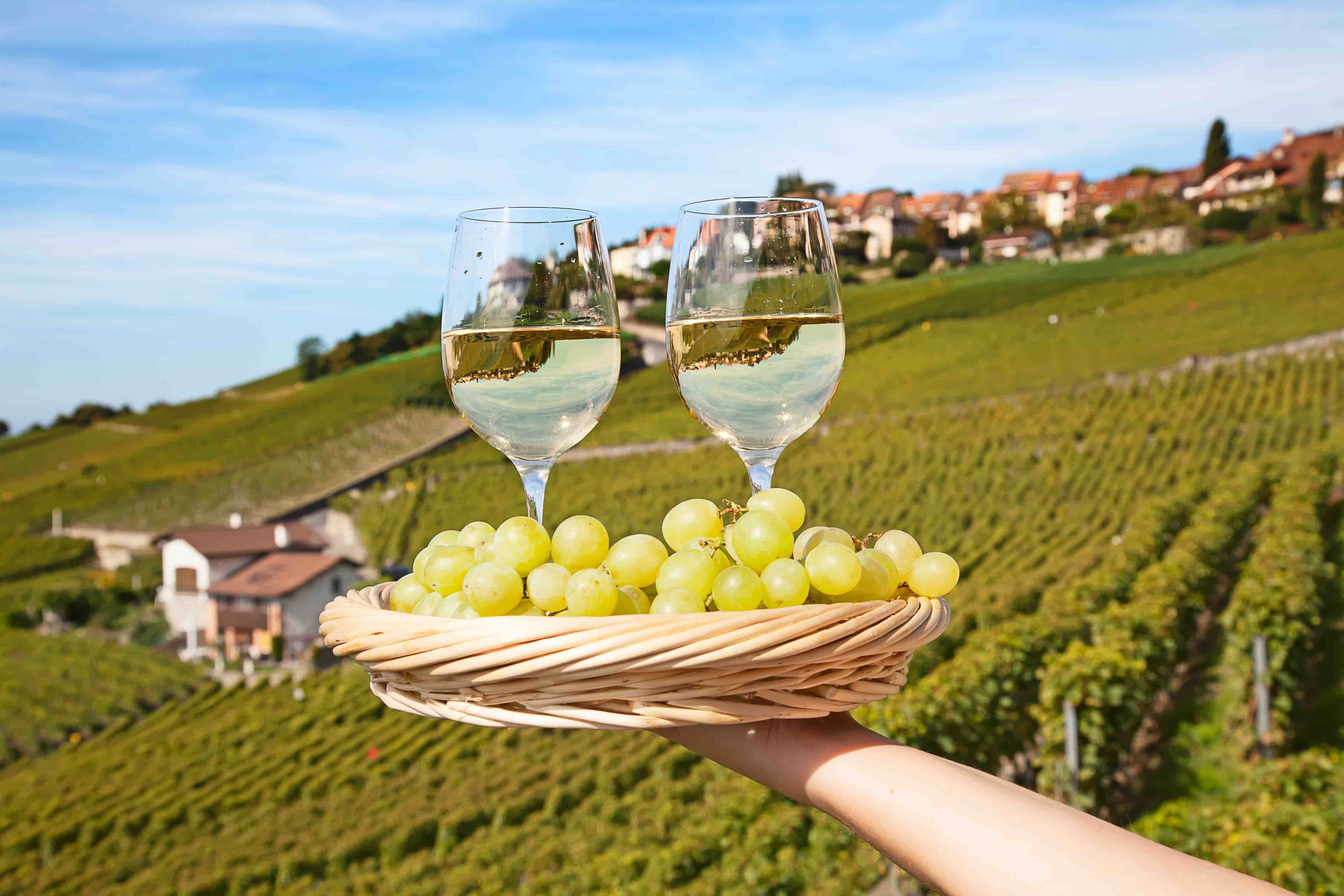 Chardonnay from around the World
