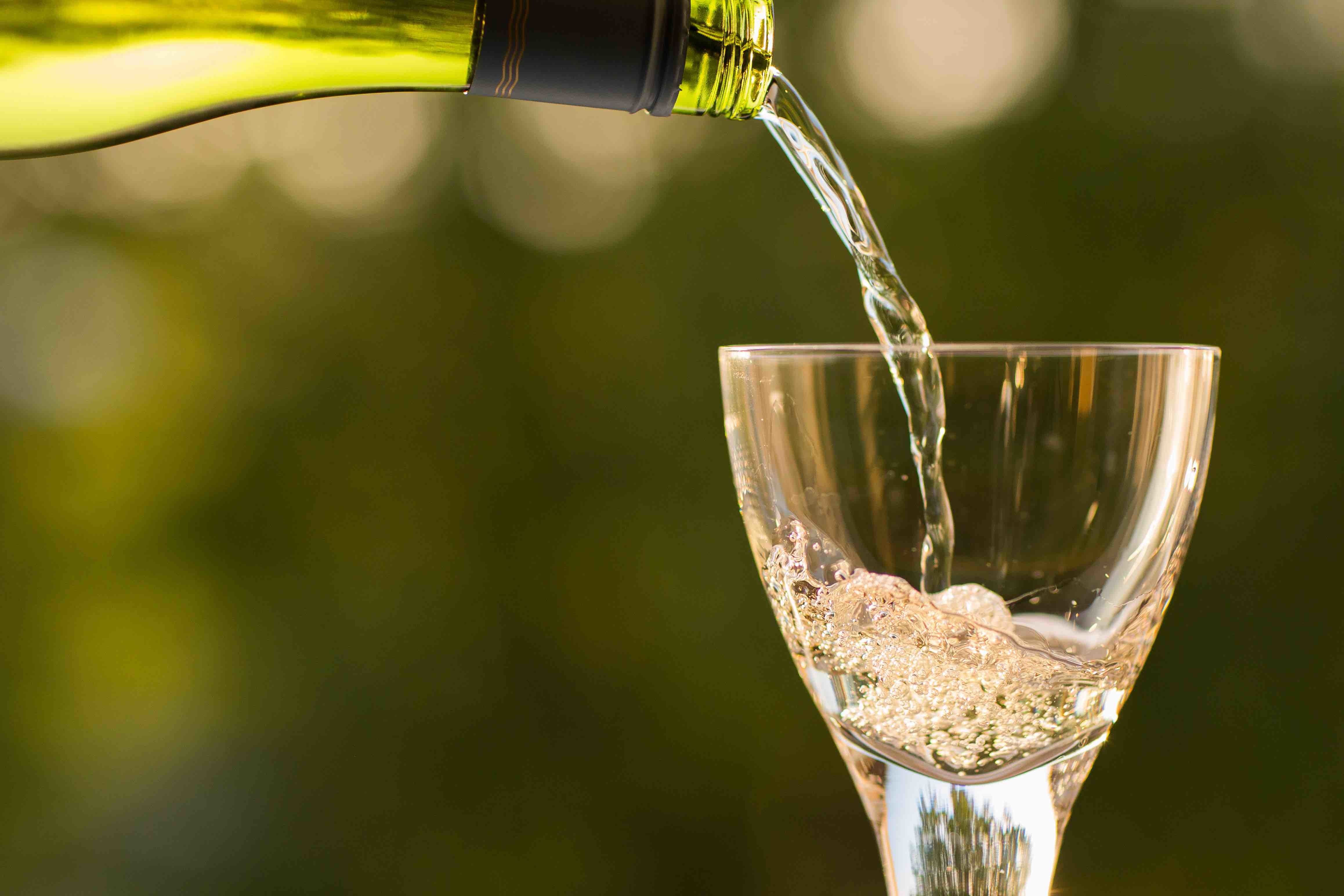 Sauvignon Blanc from around the globe