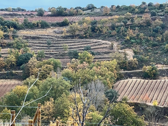 Inspired By Andalucia: Tapas Wine Dinner at Friends of Ham