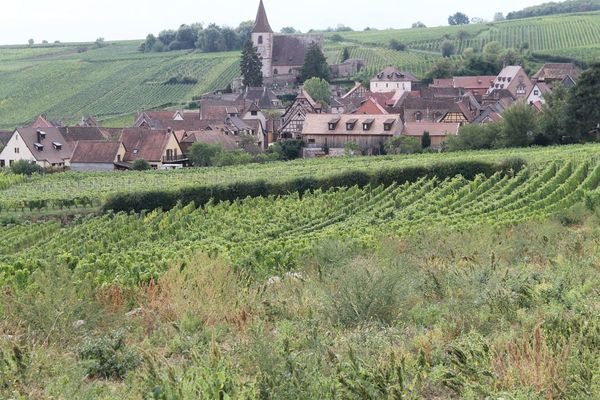 Alsace Masterclass