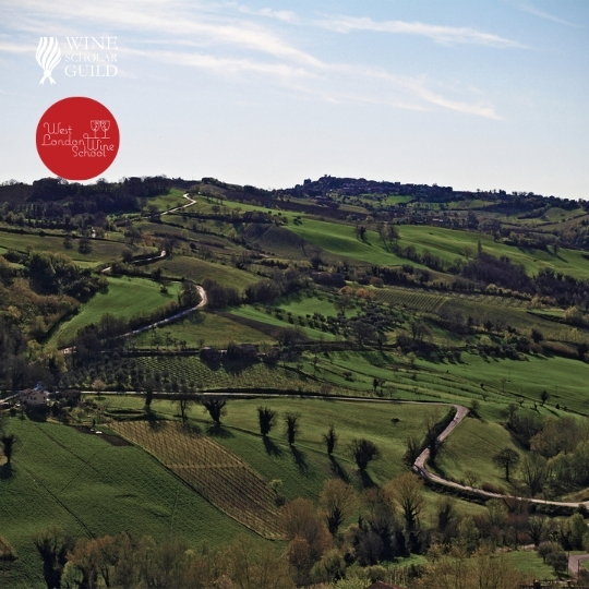 Italian Wine Scholar - Unit 2 - Marche and Abruzzo