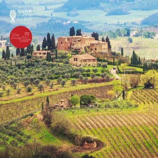 Italian Wine Scholar - Unit 2 - Toscana (Part 1)