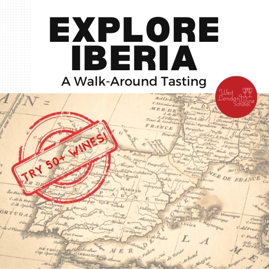 Iberian Experience: Walk Around Tasting 2024