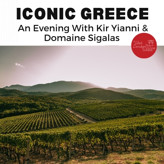 Iconic Greece - An Evening With Kir Yianni and Domaine Sigalas