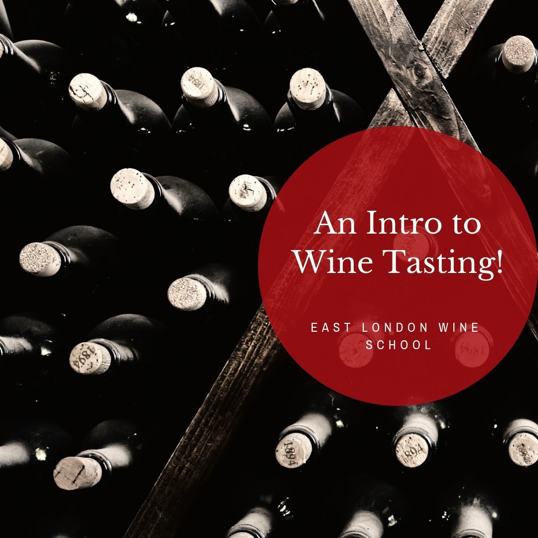 Introduction to Wine Tasting East London Wine School Wine Tasting