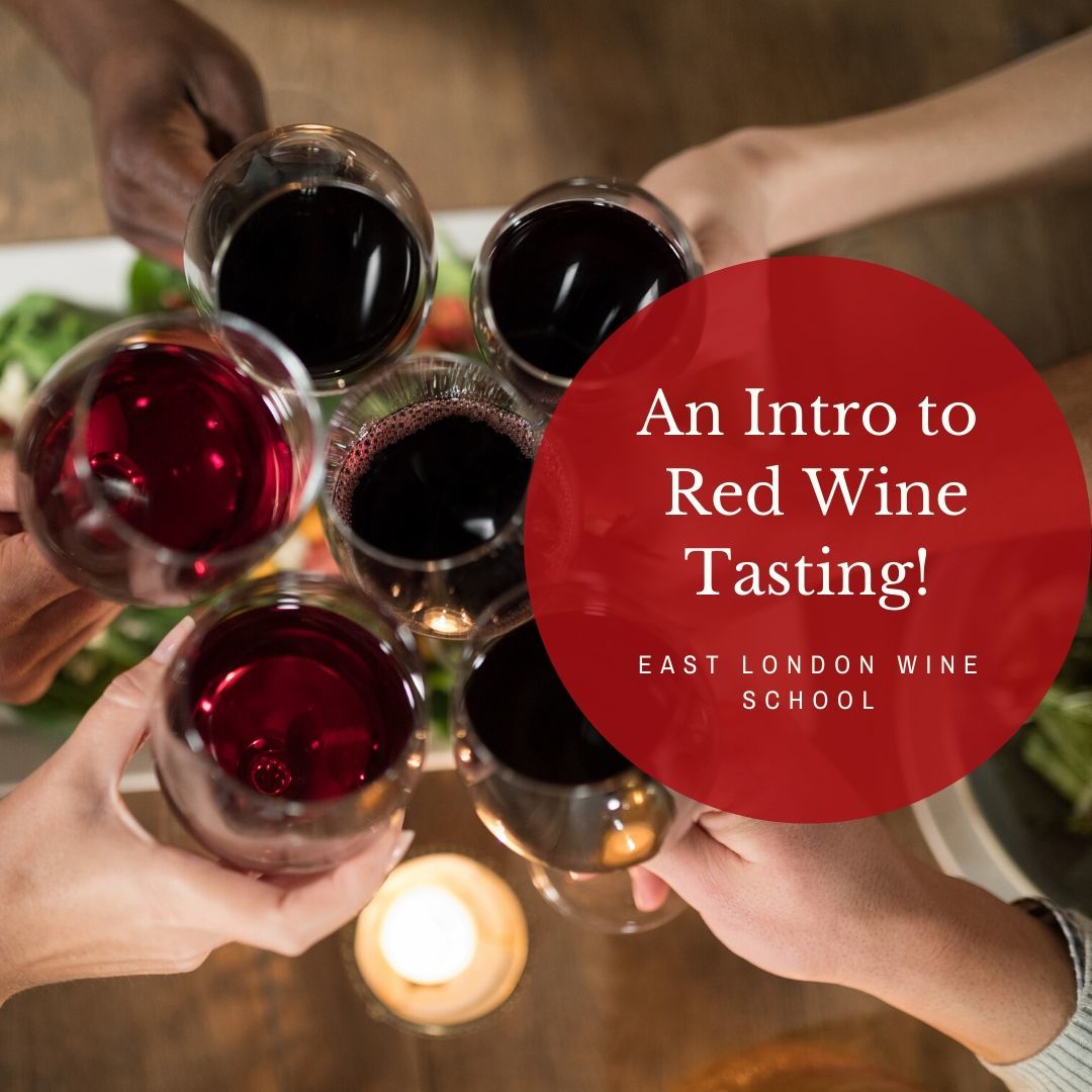 Introduction to Red Wines