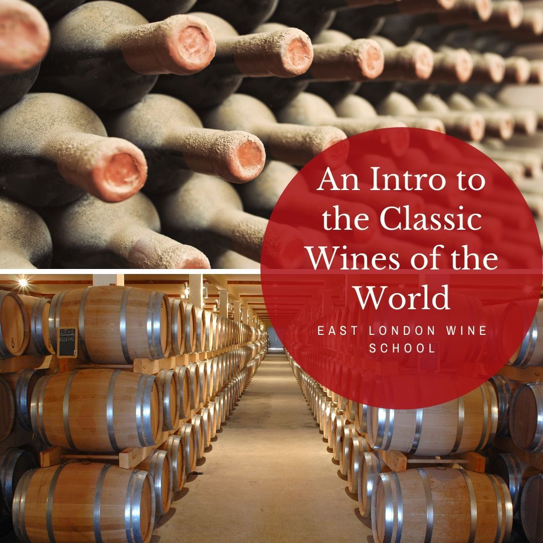 Introduction to the Classic Wines