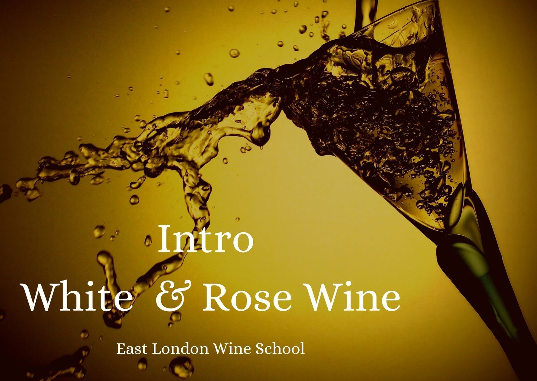 Introduction to White and Rose Wines