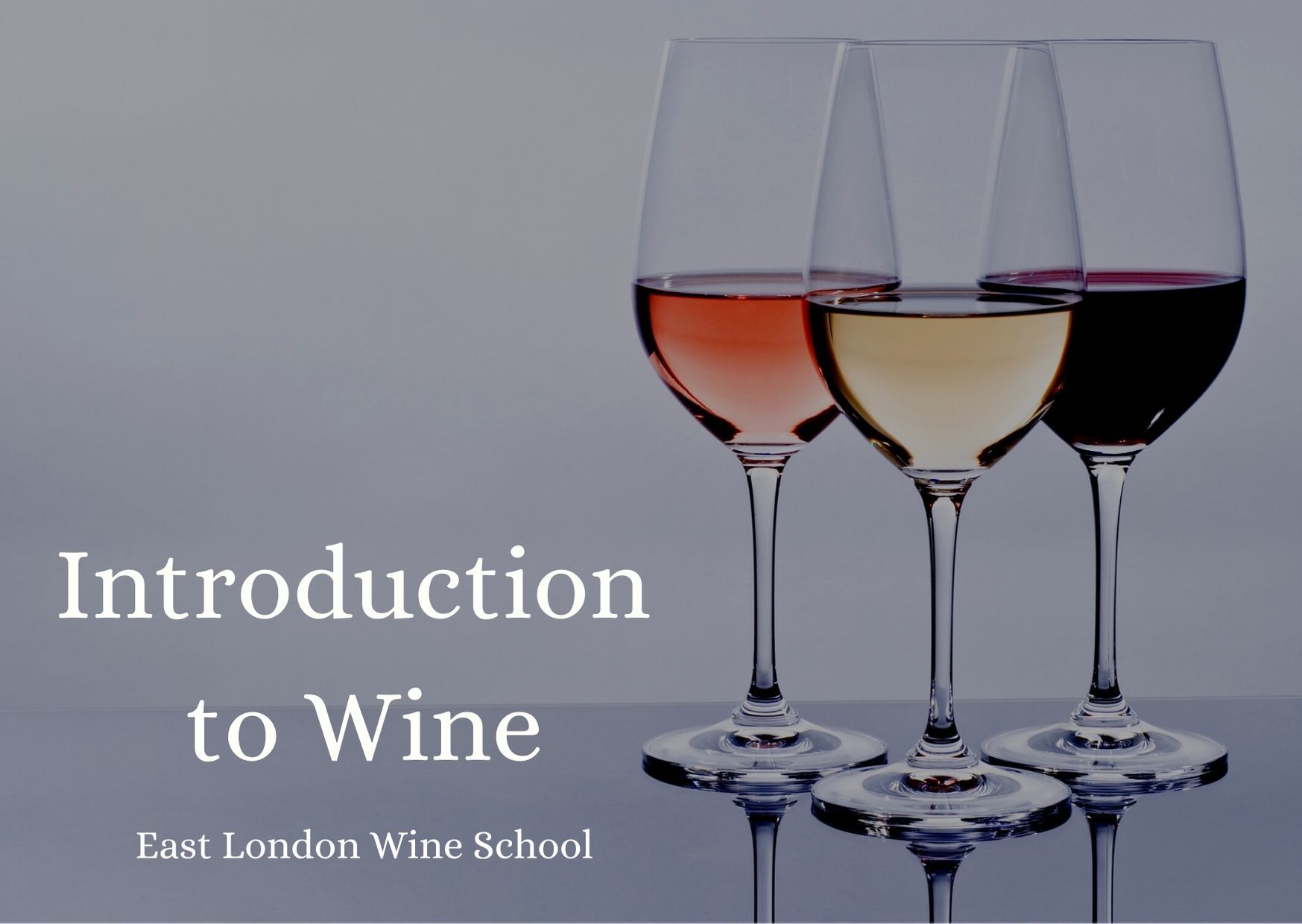 Introduction to Wine Tasting