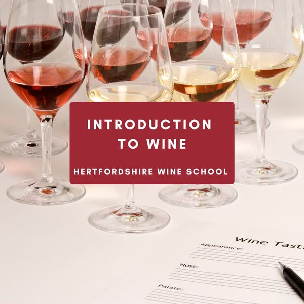 Introduction to Wine Evening