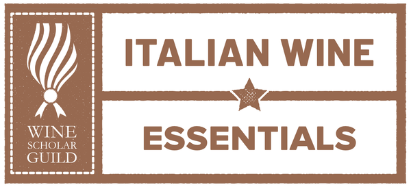 Italian Wine Essentials