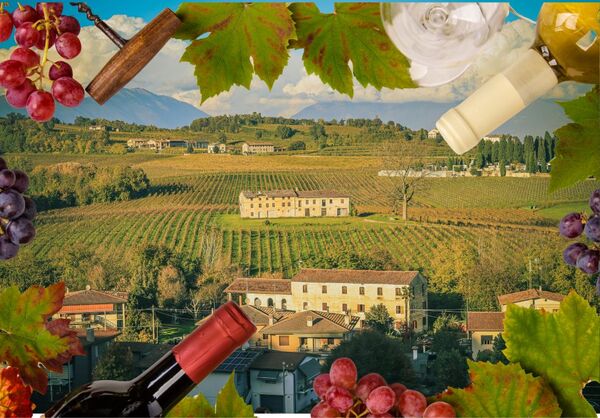 Saturday Wine Explorer: Italy