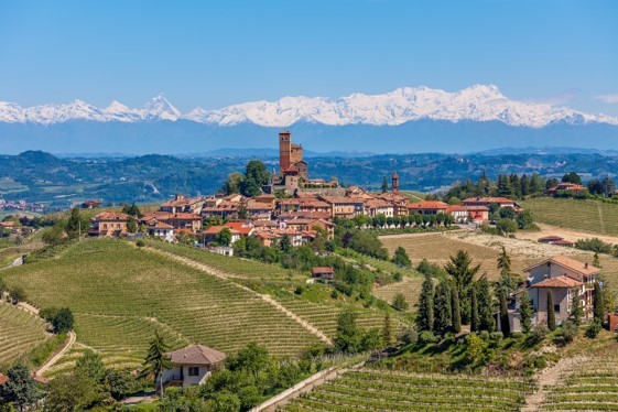 Barolo v Barbaresco Masterclass