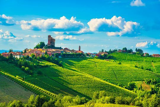 Discover Piemonte