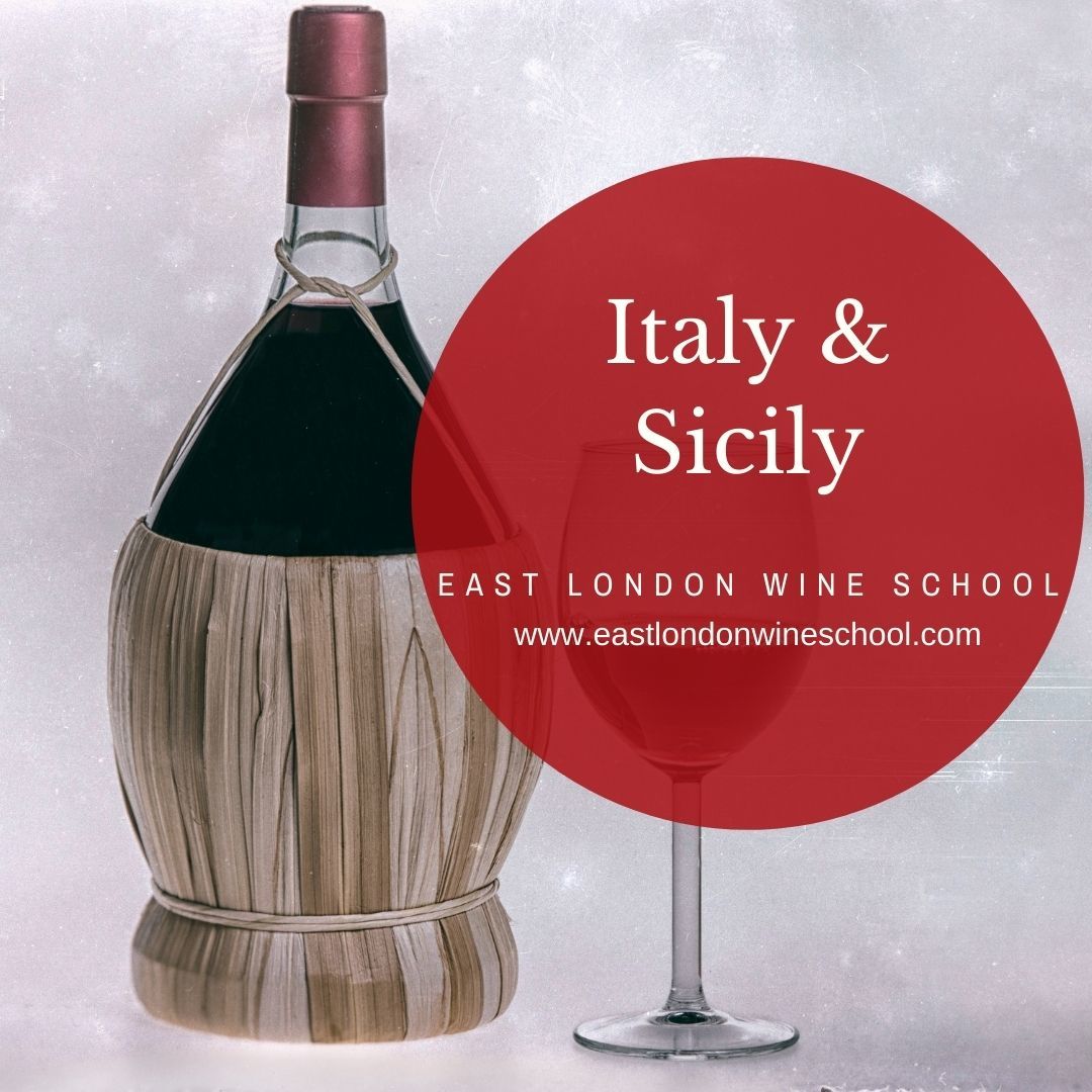 Wines of Italy and Sicily