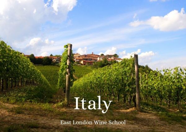 Wines of Italy (Autumn)