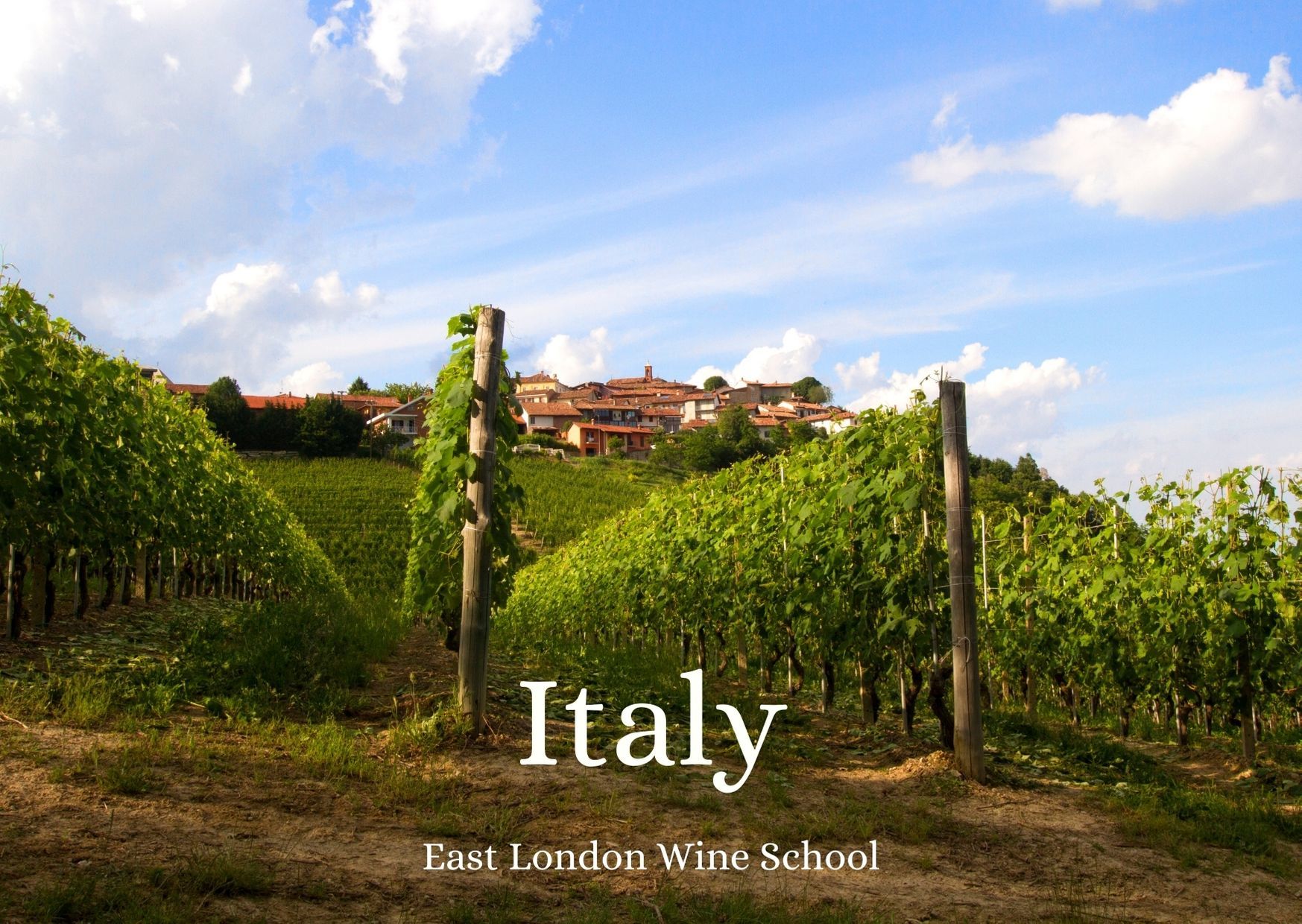 Wines of Italy