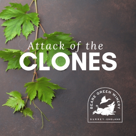Attack of the Clones: England's Beare Green Winery with Jimmy Smith