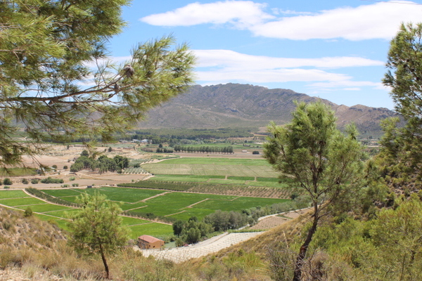 Online South East Spain