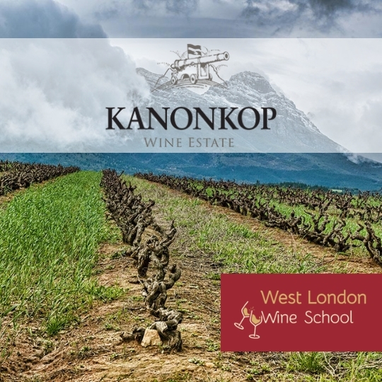  A South African Wine Masterclass with Kanonkop Estate-Pinotage Through the Decades