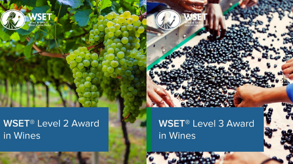 WSET L2 & L3 Wine Bundle