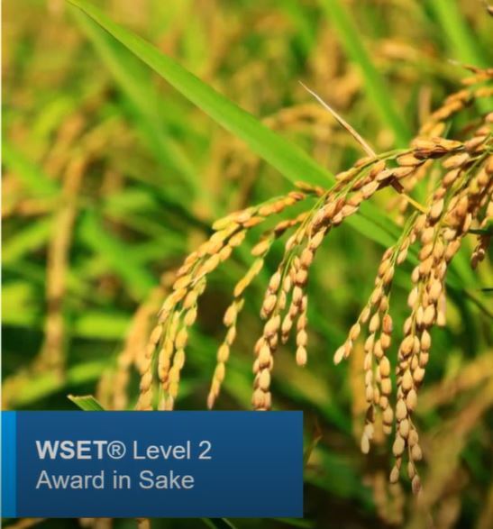 WSET Level 2 Award in Sake - Day 1