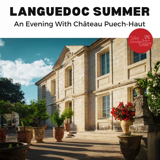 Château Puech-Haut of Languedoc