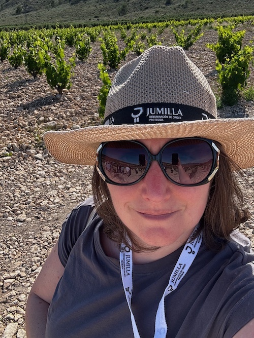 Discovering Old Vines in Jumilla
