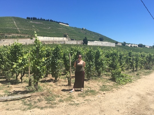 Ramble Down The Rhône with Special Guest Linda Field