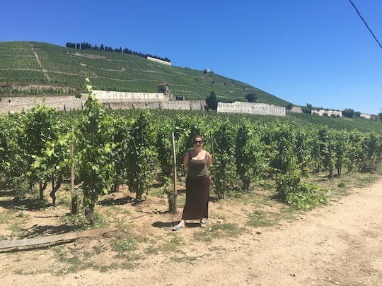 Online 3 wk Course: Roam Around The Rhone