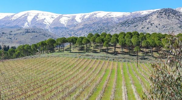 Lebanon Unwrapped